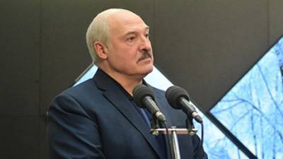 Лукашенко сообщил, что на его детей готовилось покушение