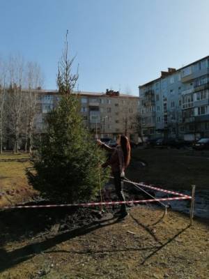 Сергей Воропанов призвал вологжан готовиться к Новому году