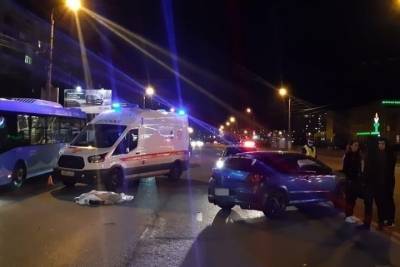 В Твери машина сбила женщину с собакой: хозяйка скончалась на месте - tver.mk.ru - Тверь