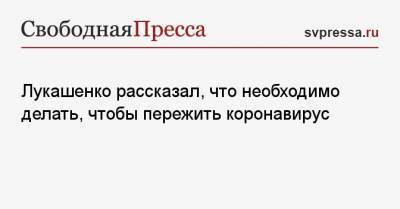 Лукашенко рассказал, что необходимо делать, чтобы пережить коронавирус