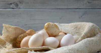 Определен самый полезный способ приготовления яиц
