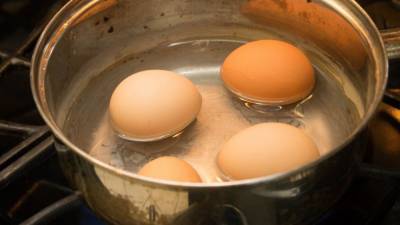 Британские медики назвали самый полезный способ приготовления яиц