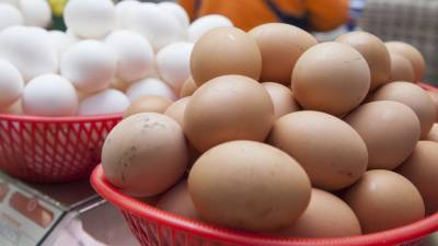 Британские эксперты рассказали, как правильно готовить яйца