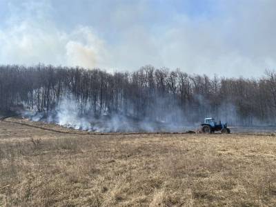 В Ульяновской области горят поля