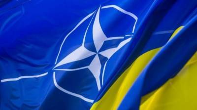 Украинский посол возложил ответственность за вступление страны в НАТО на ФРГ