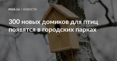 300 новых домиков для птиц появятся в городских парках