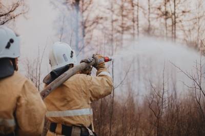 Число лесных пожаров в Забайкалье в 2021 г. зафиксировано почти в 10 раз меньше 2020 года