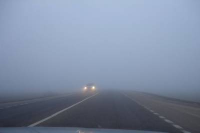В Рязанской области объявили метеопредупреждение из-за тумана