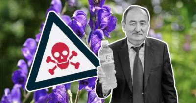 Может убить за несколько минут: в Киргизии больных COVID-19 начали "лечить" ядовитым растением