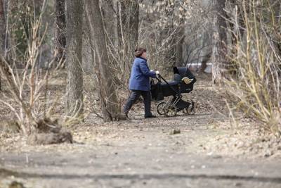 В Санкт-Петербурге кусок лепнины с дома упал в детскую коляску. Ребенок госпитализирован