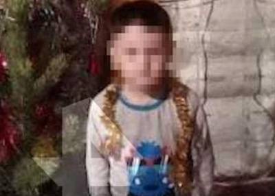 «Думал, кукла»: страшные подробности гибели растерзанного в Башкирии собаками малыша