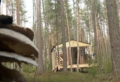 В лесах Всеволожского района строят домики для туристов