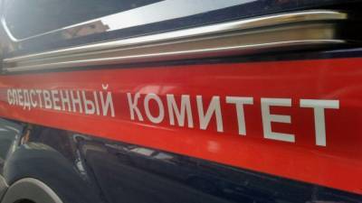 Бастрыкин потребовал от следователей доклад по делу о гибели девушки в Подмосковье
