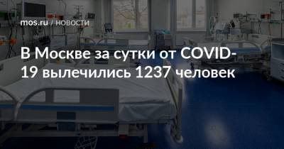 В Москве за сутки от COVID-19 вылечились 1237 человек