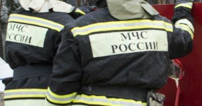 Женщина и двое детей погибли при пожаре в Московской области
