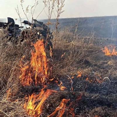 25 га сухой травы сгорело в Павловском районе