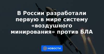 В России разработали первую в мире систему «воздушного минирования» против БЛА