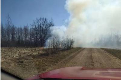 Пожар на поле в Островском районе произошел возле Линии Сталина
