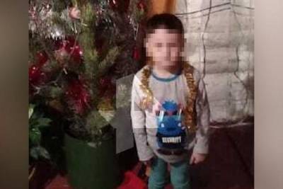 Погибший от укусов собак 4-летний малыш из Башкирии не дожил 10 дней до своего юбилея