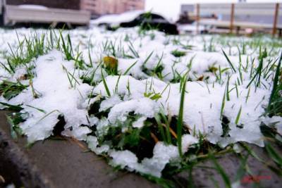 Во вторник в Москву вернется мокрый снег