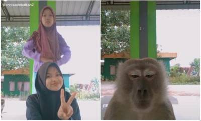 Подруги снимали видео в тикток, но им помешала настоящая обезьяна: она стала звездой сети