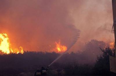 Поджигателей травы ждет наказание: спасатели показали жуткие последствия для Украины. ВИДЕО