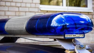 Полиция ищет в Балтийске пропавшую рыжеволосую школьницу