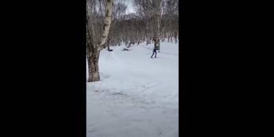 Во время Всероссийского Авачинского марафона на Камчатке погиб лыжник - ТЕЛЕГРАФ