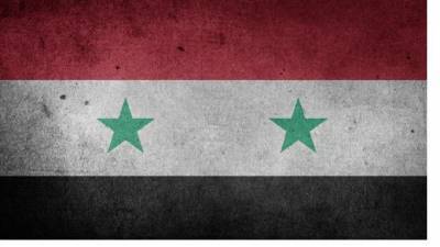 Президентские выборы в Сирии назначены на конец мая