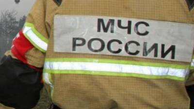 Сотрудники МЧС Рязанской области спасли почти 30 сапсерферов на Оке