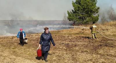 Огонь подбирался к домам: под Ярославлем пожарные спасли деревню
