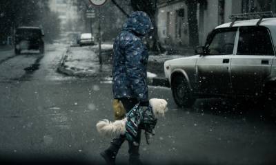 В Карелии резко похолодает: ожидается мокрый снег