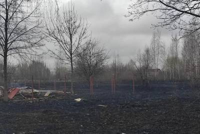 Из-за пала сухой травы под Рязанью выгорела деревня