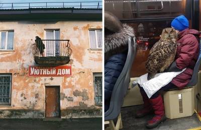 10 фотографий российской действительности, которые рассмешат и удивят вас одновременно