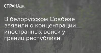 В белорусском Совбезе заявили о концентрации иностранных войск у границ республики