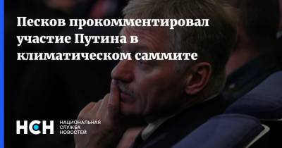 Песков прокомментировал участие Путина в климатическом саммите