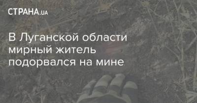 В Луганской области мирный житель подорвался на мине