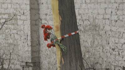 «Крутые, ему все позволяли»: соседи о погибших в ДТП в Ростовской области детях