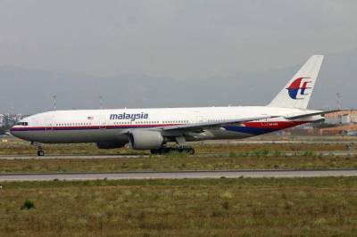 Иран уверен, что Киев пытался извлечь политическую выгоду от крушения малазийского Boeing