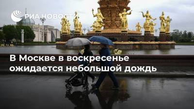 В Москве в воскресенье ожидается небольшой дождь
