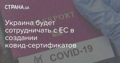 Украина будет сотрудничать с ЕС в создании ковид-сертификатов