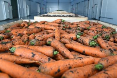 В Астрахани изменились цены на морковь и картофель