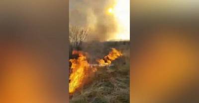 Горят кресты и могилы: в Нижегородской области мощный природный пожар охватил кладбище — видео