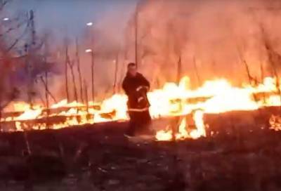 В сети появилось видео горящего поля у храма в Сланцах