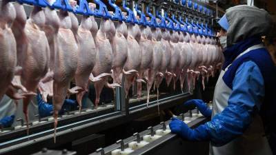Курам наспех: цены производителей на мясо птицы пошли вниз