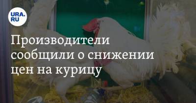 Производители сообщили о снижении цен на курицу