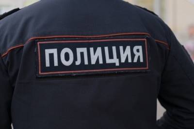 Жительница Санкт-Петербурга с ножом напала на девятилетнего сына