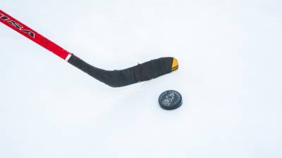 Российский хоккеист Виталий Кравцов забросил первую шайбу в НХЛ