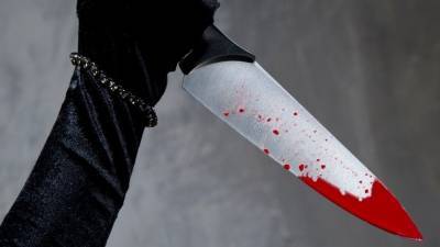 Наркоманка избила мать в Петербурге и порезала ножом сына — кровавые фото