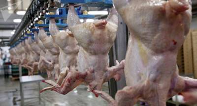 Российские производители куриного мяса начали снижать цены